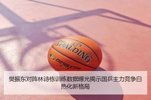 樊振东对阵林诗栋训练数据曝光揭示国乒主力竞争白热化新格局